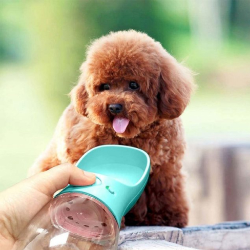 Portable Pet Water Bottle 7